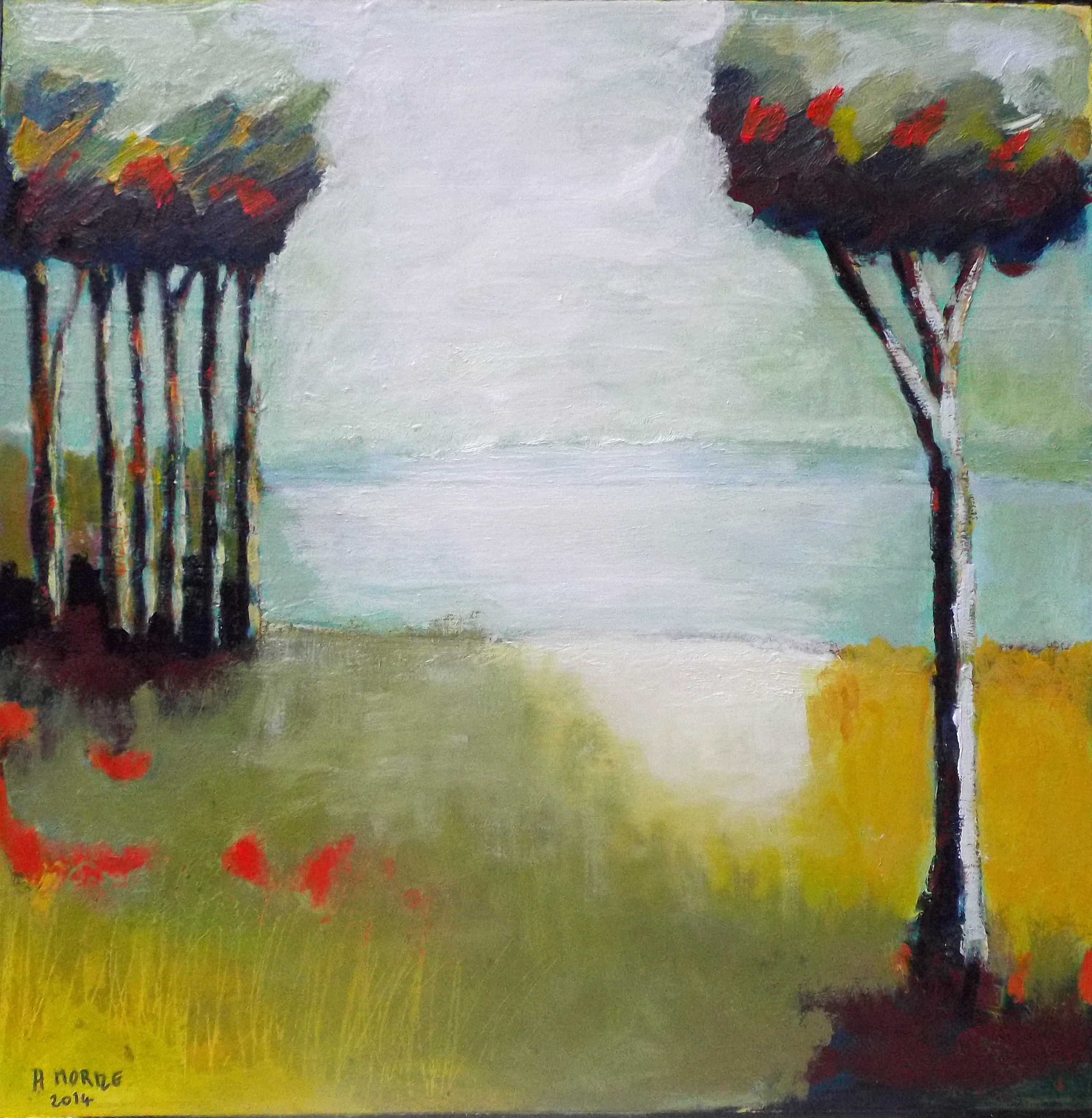 Etang du Saix 50X50